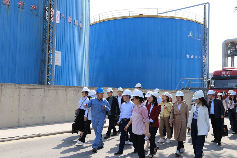 深化產(chǎn)融協(xié)同 賦能產(chǎn)業(yè)升級——上期大學(xué)堂走進(jìn)新材料集團(tuán)權(quán)屬單位開展專題培訓(xùn)活動